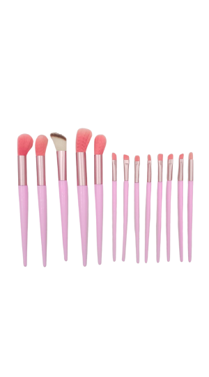 KIT DE PINCEL ROSA C/13