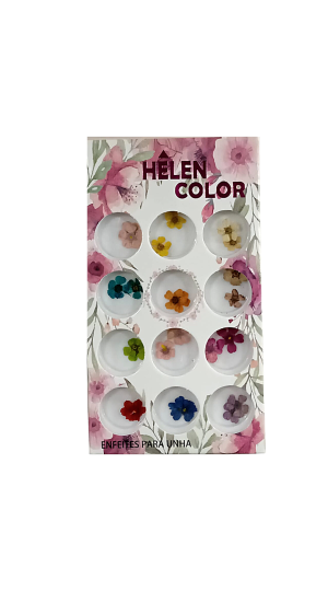 HELEN COLOR FLOR SECA C/12